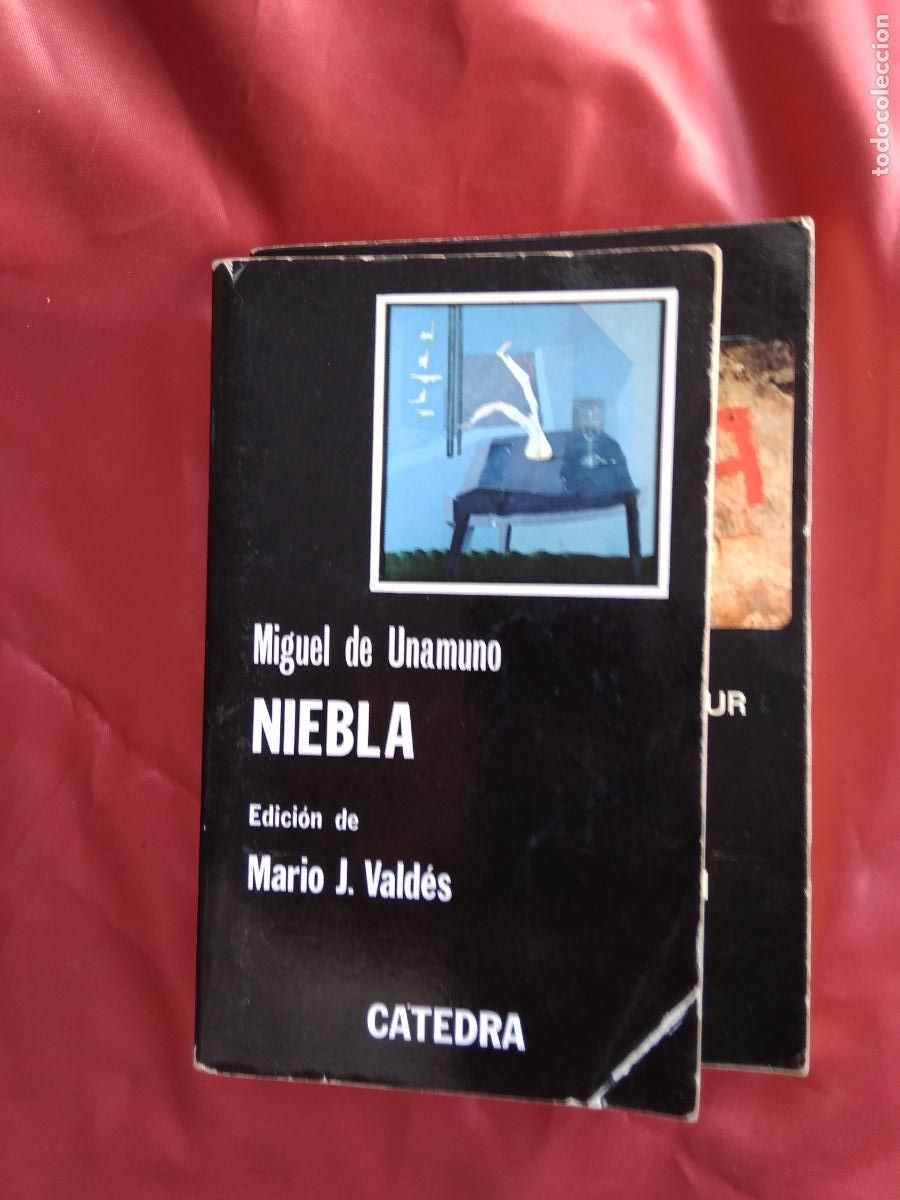 Libros: Niebla Miguel de Unamuno L.7539-1569 - Foto 1