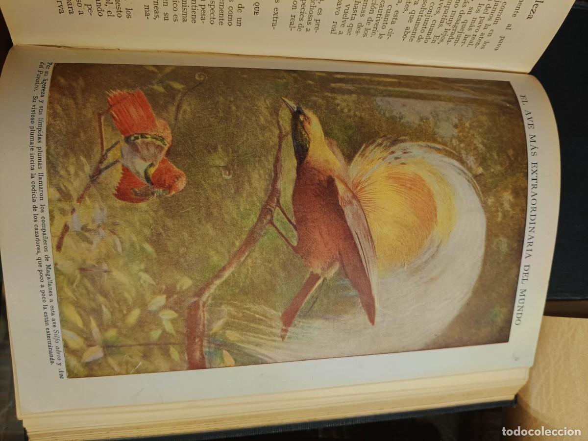 Libros: El tesoro de la juventud 8 tomos - Foto 4