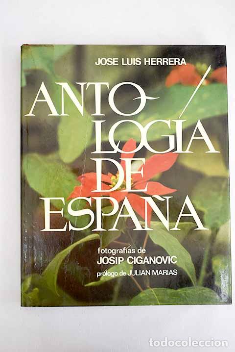 B&uuml;cher: Antolog&iacute;a de Espa&ntilde;a: Herrera, Jos&eacute; Luis.- Herrera, Jos&eacute; Luis