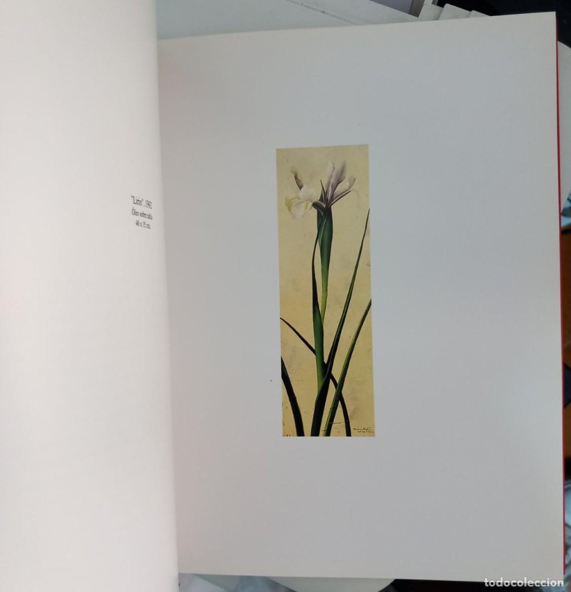 Libros: Sebasti&aacute;n Nicolau. - Foto 5