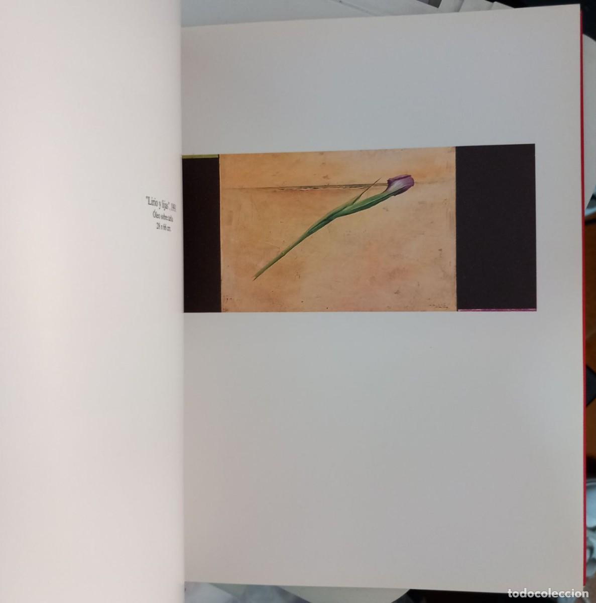 Libros: Sebasti&aacute;n Nicolau. - Foto 6