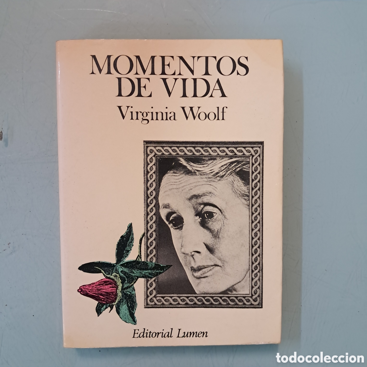 Libros: Virginia Woolf, Momentos de vida,Lumen - Foto 1