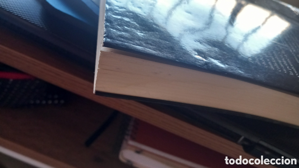 Libros: Pluma en ristre leonardo castellani - Foto 4