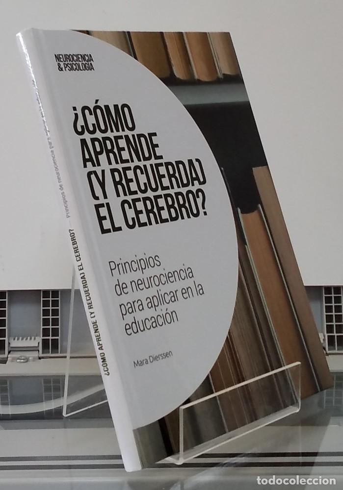 books: &iquest;C&oacute;mo aprende y recuerda el cerebro? (NUEVO). Principios de neurociencia para aplicar en la educaci&oacute;