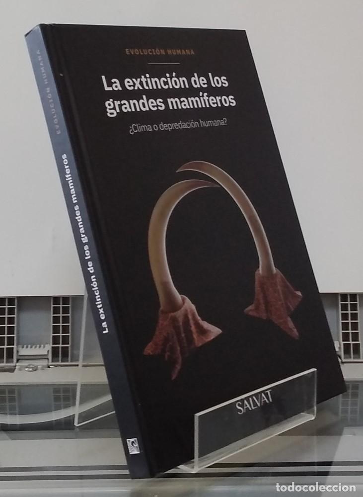 Libri di seconda mano: La extinci&oacute;n de los grandes mam&iacute;feros (NUEVO). &iquest;Clima o depredaci&oacute;n humana? - Diego Rindel et al