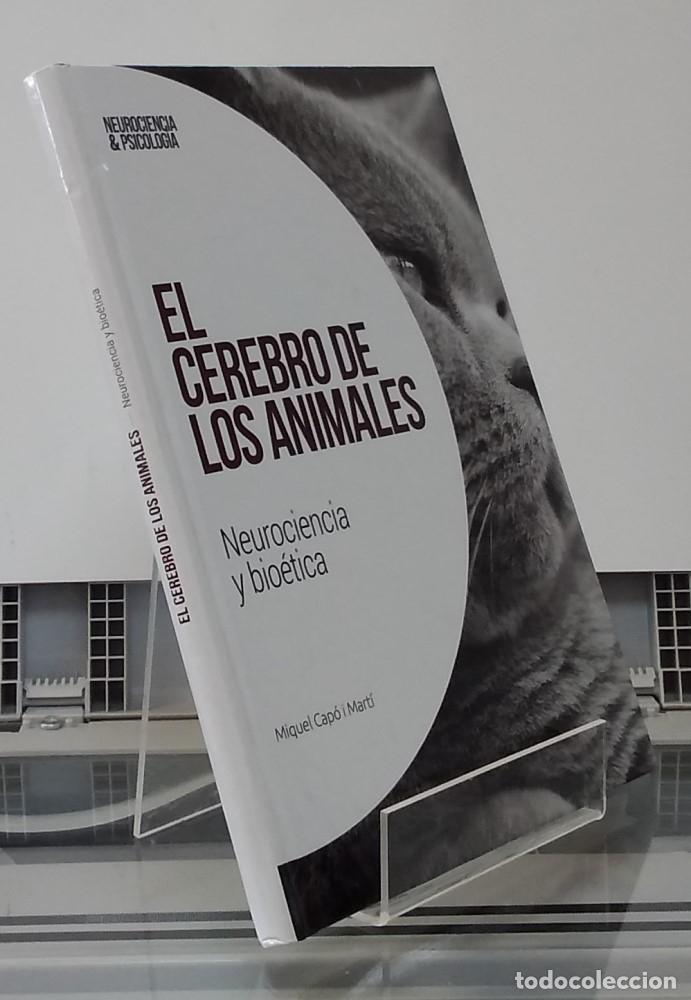 Libri di seconda mano: El cerebro de los animales (NUEVO). Neurociencia y bio&eacute;tica - Miquel Cap&oacute; i Mart&iacute;