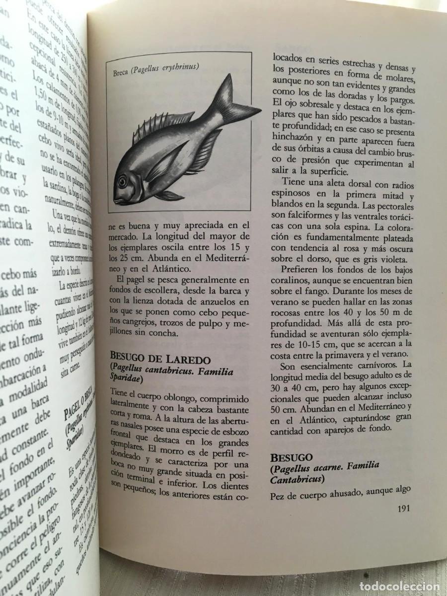 Libros: El gran libro de la pesca en el mar Editorial De Vecchi - Foto 8