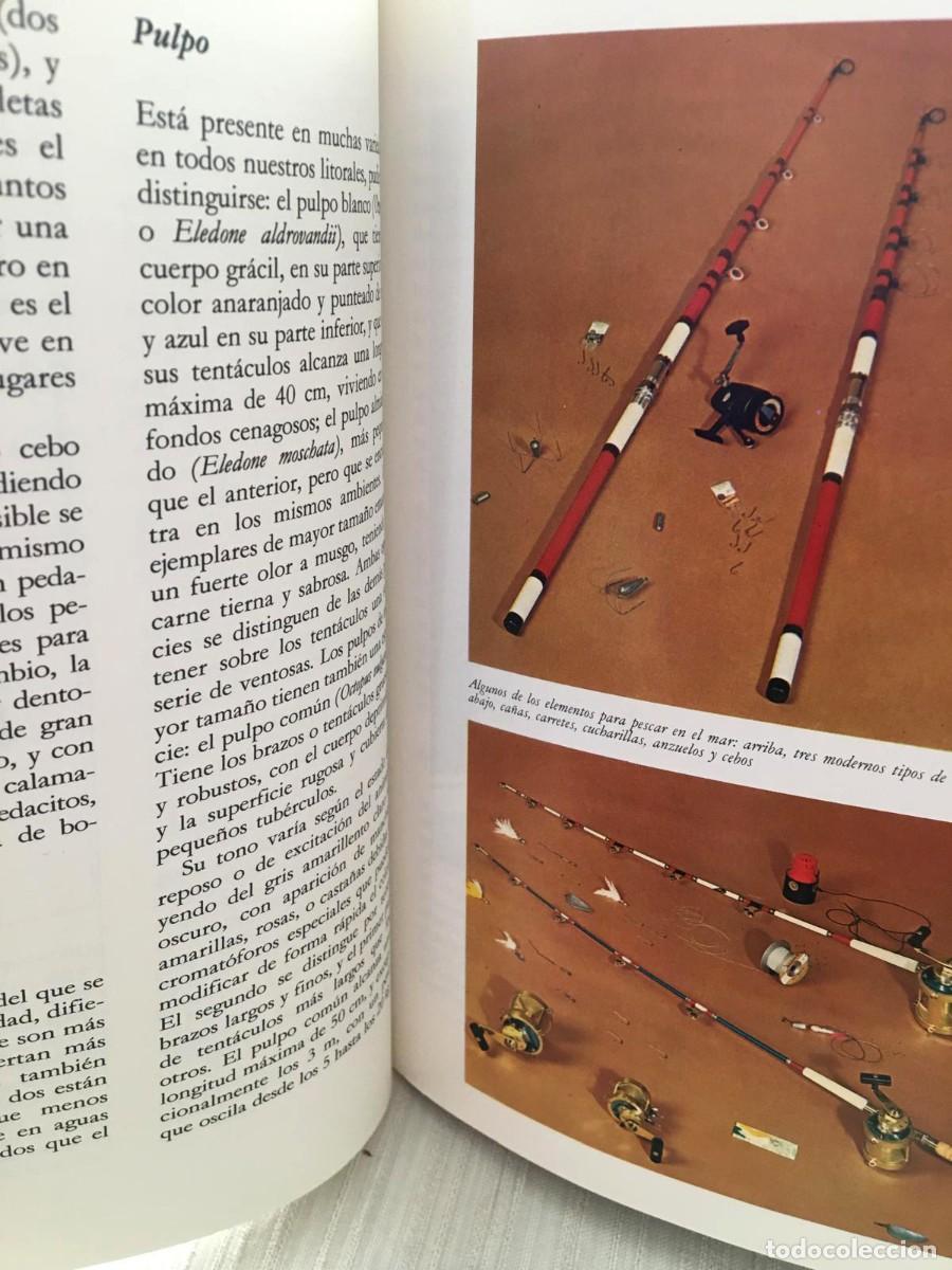 Libros: El gran libro de la pesca en el mar Editorial De Vecchi - Foto 10