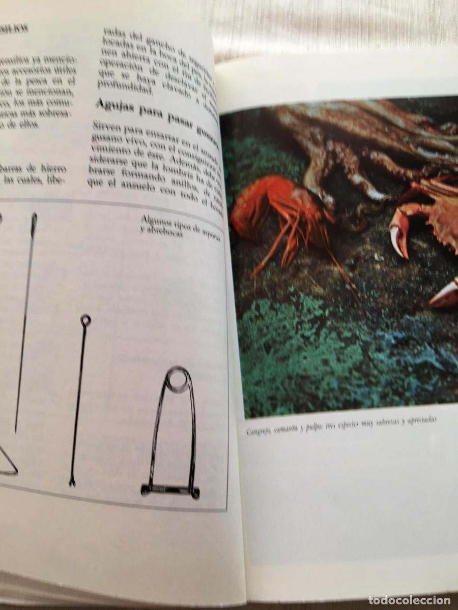 Libros: El gran libro de la pesca en el mar Editorial De Vecchi - Foto 12