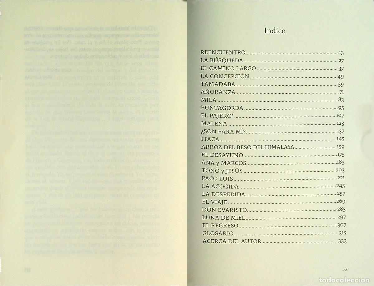 Libros: LA DECISI&Oacute;N - JUAN LUIS ALEM&Aacute;N GONZ&Aacute;LEZ - 2022 - Foto 2