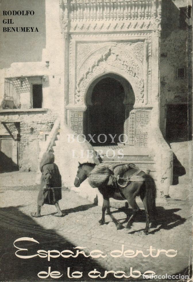 Libros: GIL BENUMEYA, Rodolfo. Espa&ntilde;a dentro de lo &aacute;rabe - Foto 1