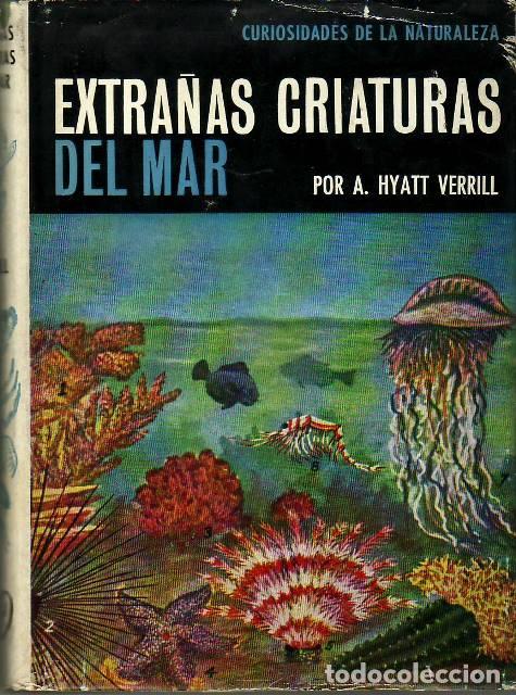 Libros: HYATT VERRILL, A.- - Extra&ntilde;as criaturas del mar. - Foto 1