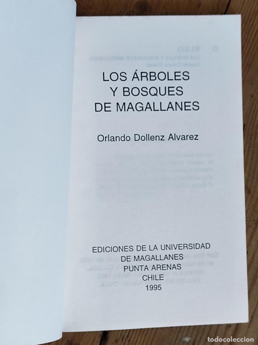 Libros: &Aacute;RBOLES Y BOSQUES DE MAGALLANES - Dollenz &Aacute;lvarez, Orlando - Foto 1