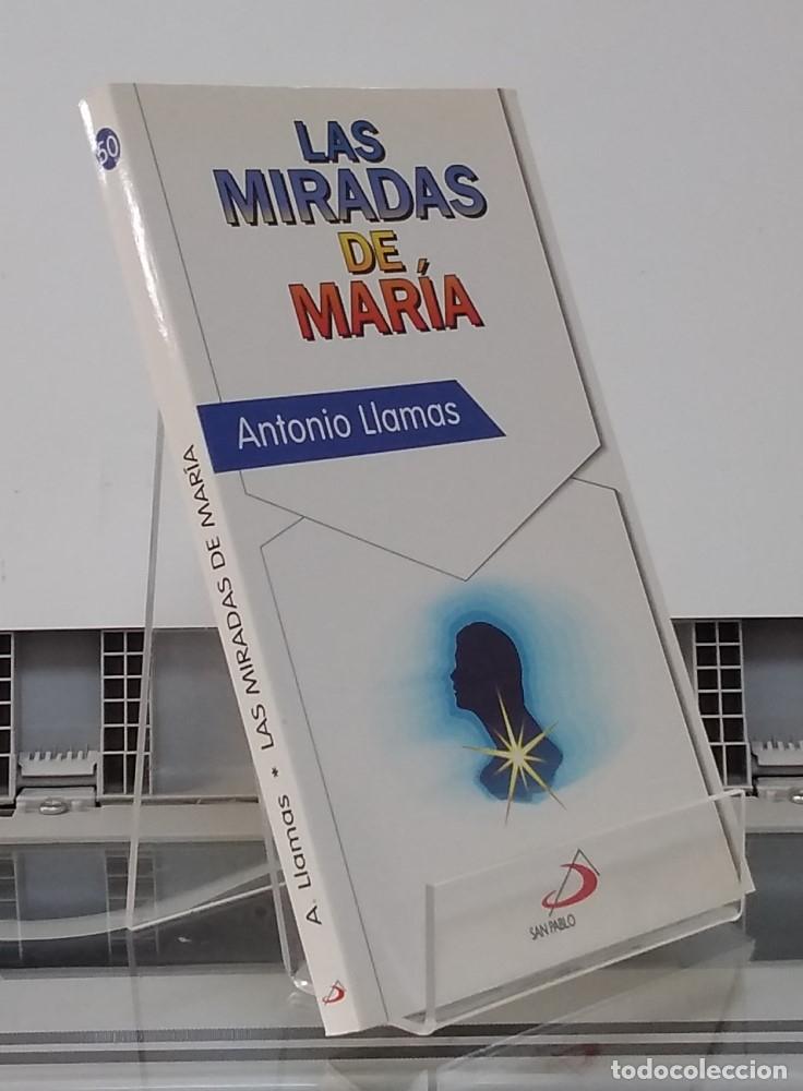 Libros: Las miradas de Mar&iacute;a (como NUEVO) - Antonio Llamas - Foto 1