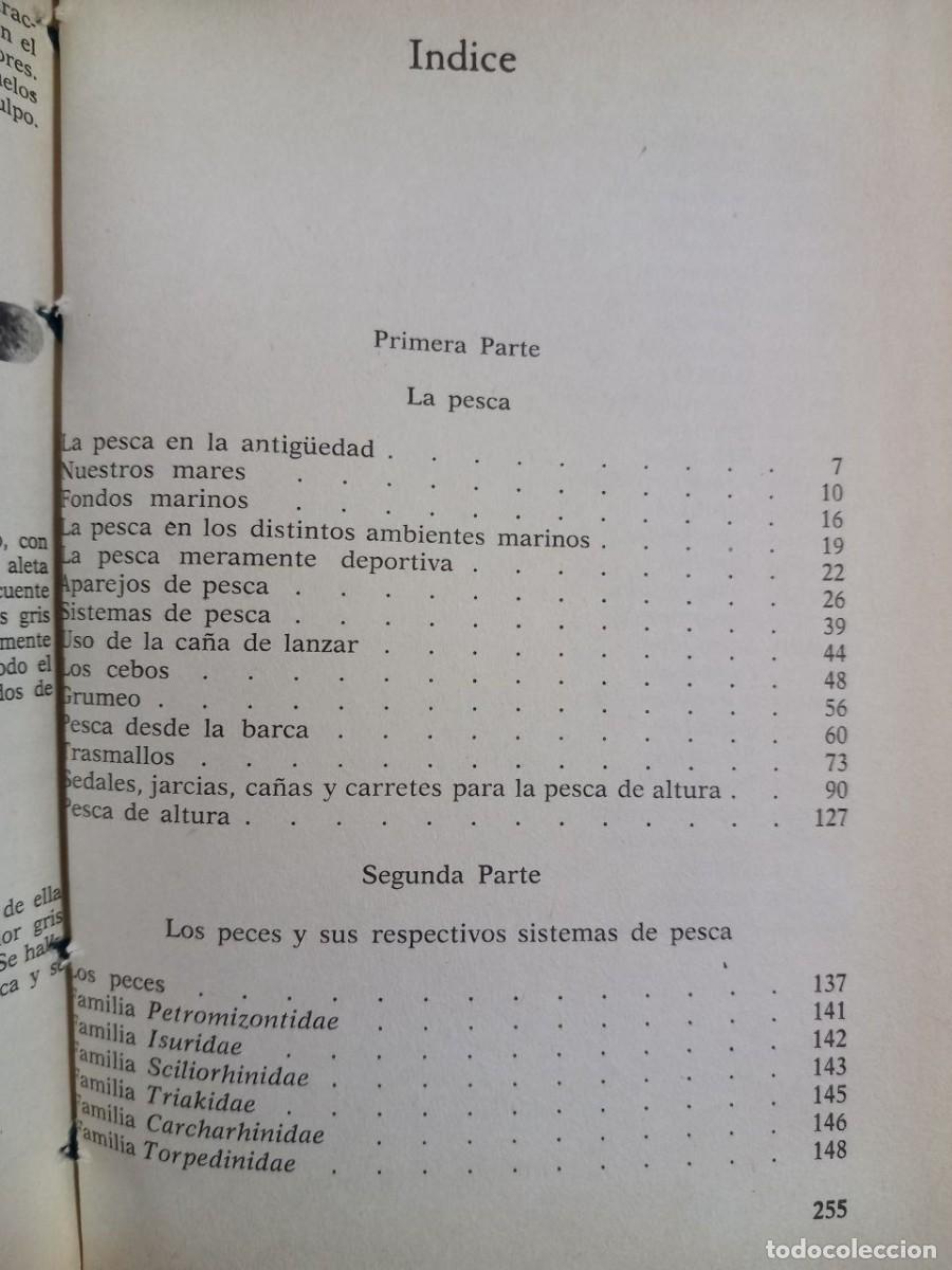 Libros: El libro de la pesca en el mar. - MAZZANTI, Alcide: - Foto 6