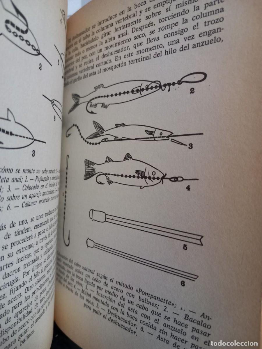 Libros: El libro de la pesca en el mar. - MAZZANTI, Alcide: - Foto 7