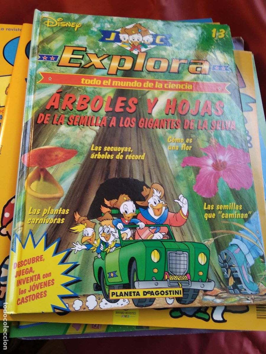 Libros: Explora N&ordm; 13: &Aacute;rboles y hojas Disney CO.1567 - Foto 1