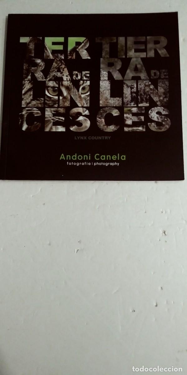 Libros: Tierra de Linces Andoni Canela - Foto 1