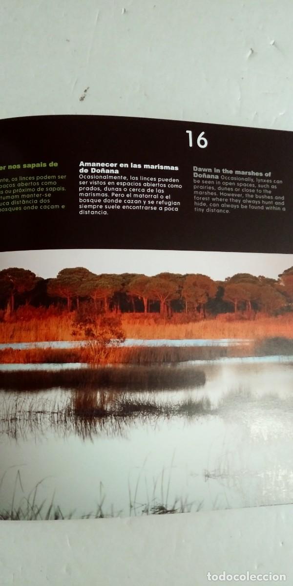 Libros: Tierra de Linces Andoni Canela - Foto 3