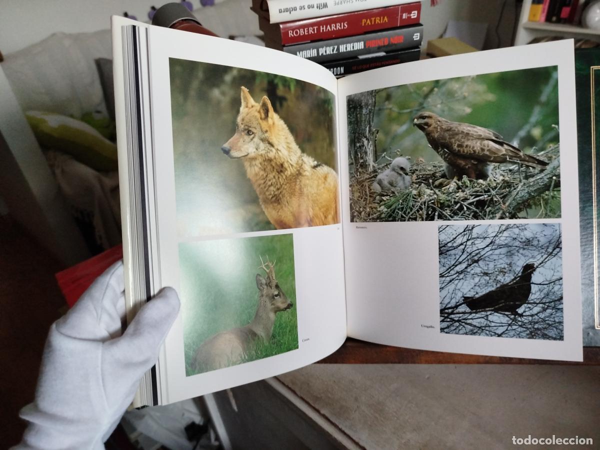Libros: Ancares. (Los Ancares leoneses) - VV. AA - Foto 10