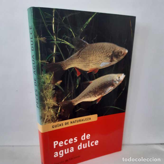 Libros: PECES DE AGUA DULCE - HARTMANN, UWE - Foto 1