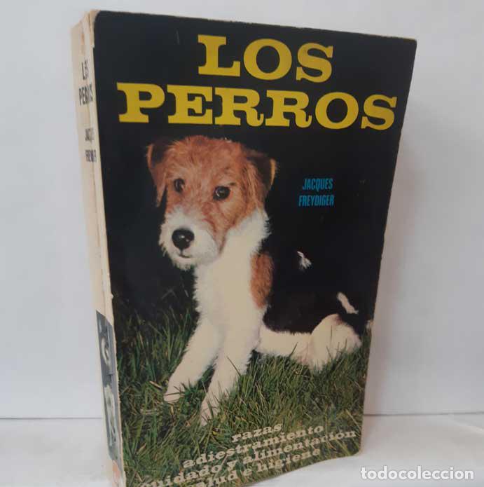 Libros: LOS PERROS. RAZAS, ADIESTRAMIENTO, CUIDADO, ALIMENTACI&Oacute;N - FREYDIGER, JACQUES - Foto 1
