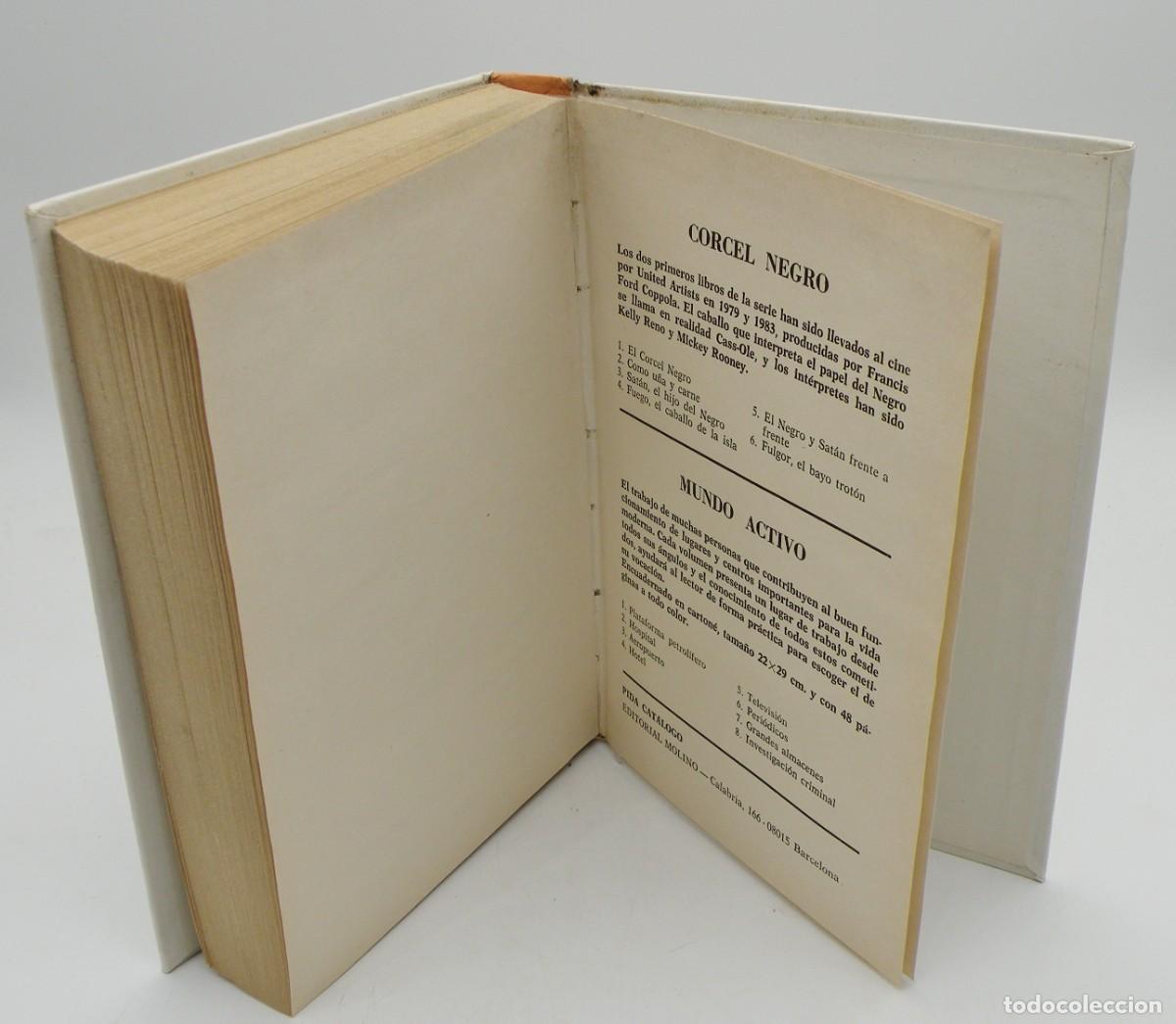Libros: JULIO VERNE - LOS N&Aacute;UFRAGOS DEL JONATHAN. 1985 - Foto 7