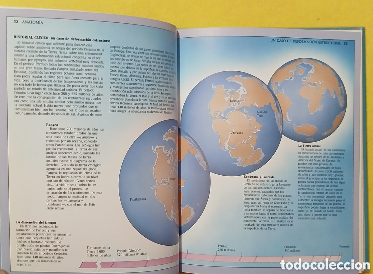 Libros: Gaia, una ciencia para curar el planeta - Foto 5