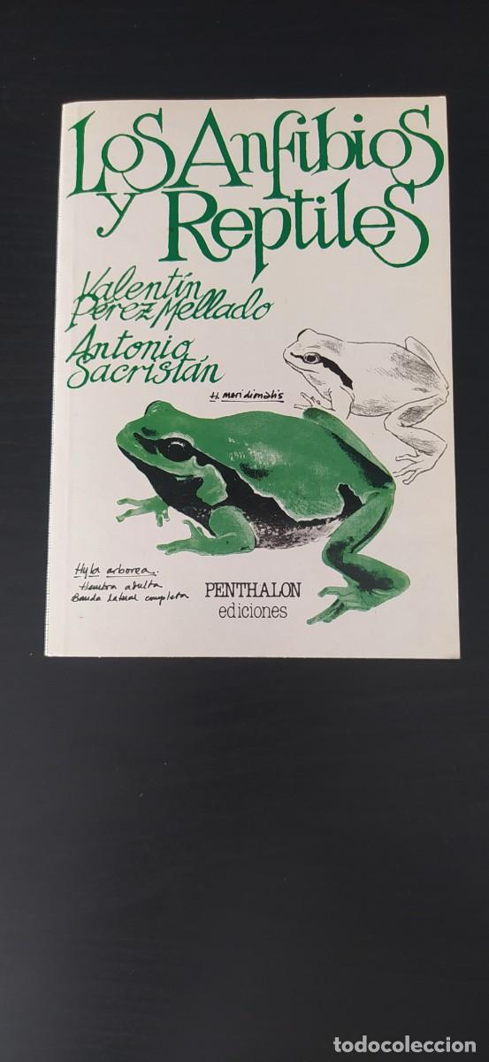 Libros: LIBRO LOS ANFIBIOS Y REPTILES EDICIONES PENTHALON - Foto 1