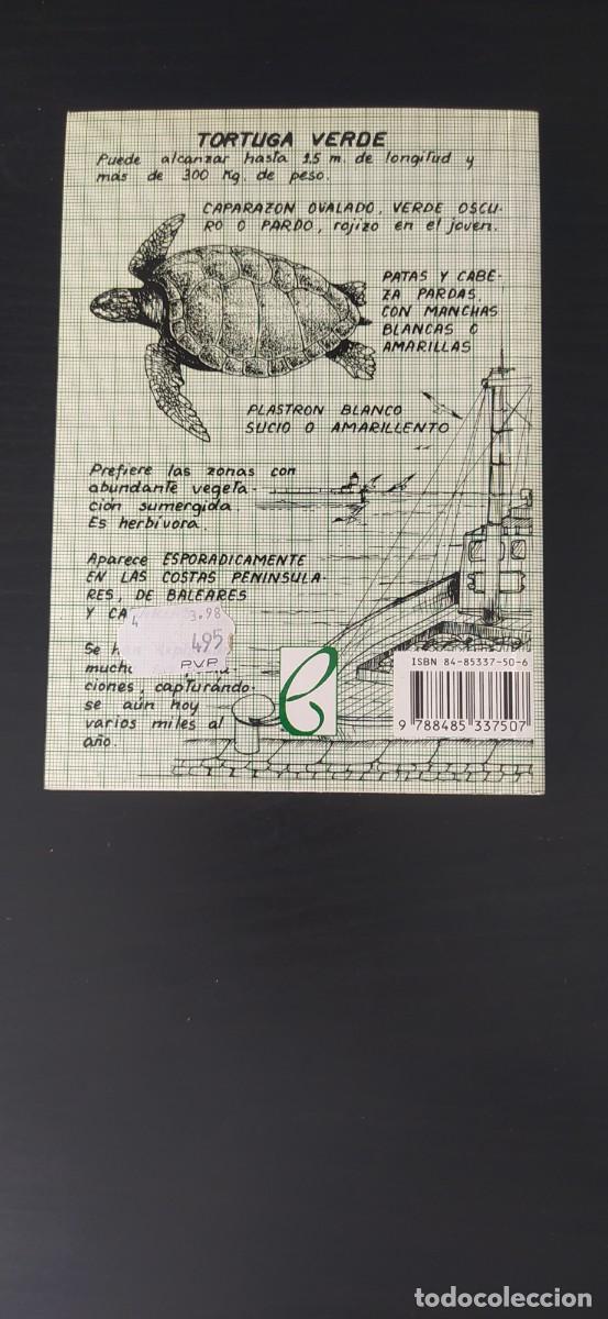 Libros: LIBRO LOS ANFIBIOS Y REPTILES EDICIONES PENTHALON - Foto 2