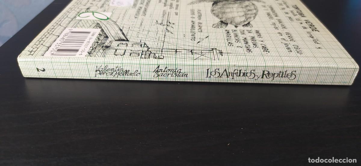 Libros: LIBRO LOS ANFIBIOS Y REPTILES EDICIONES PENTHALON - Foto 3