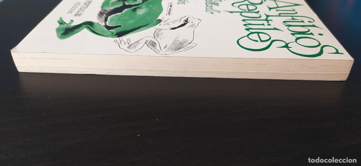 Libros: LIBRO LOS ANFIBIOS Y REPTILES EDICIONES PENTHALON - Foto 4