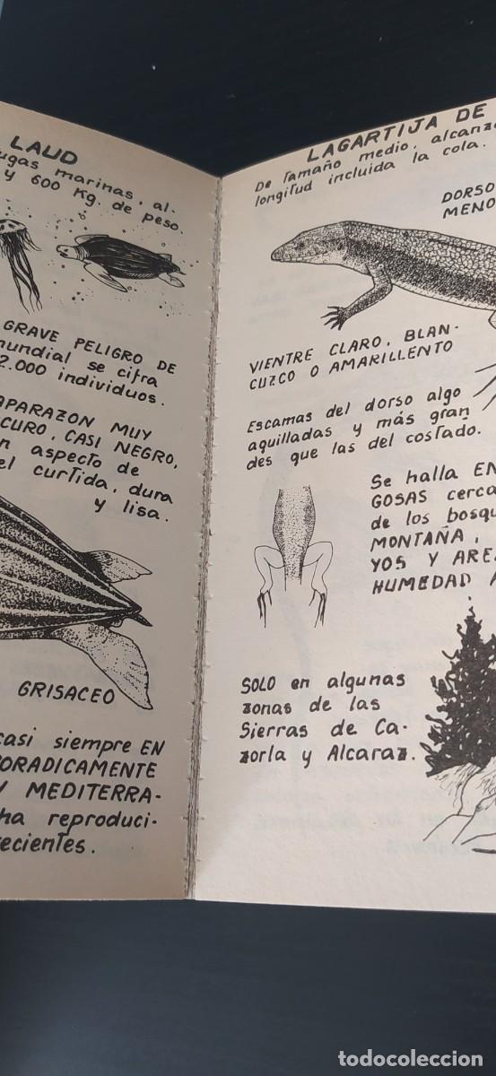 Libros: LIBRO LOS ANFIBIOS Y REPTILES EDICIONES PENTHALON - Foto 5