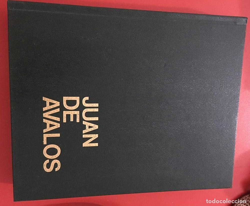 Libros: JUAN DE AVALOS- PR&Oacute;LOGO DE LUIS MAR&Iacute;A ANS&Oacute;N - Foto 1