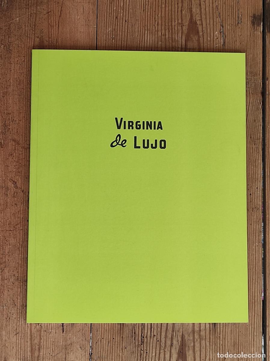 Libros: VIRGINIA DE LUJO. JULIAN SCHNABEL - - Foto 1