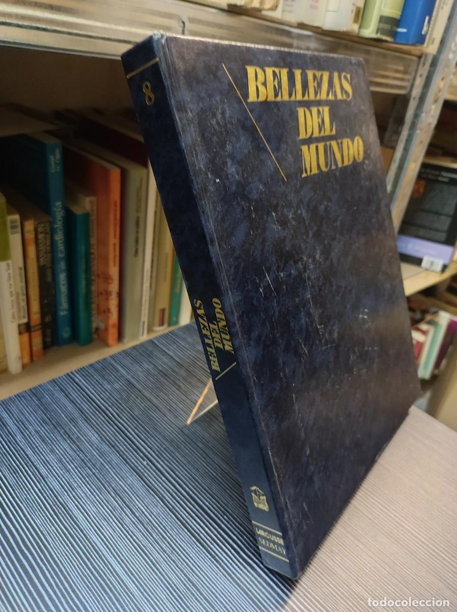 books: BELLEZAS DEL MUNDO 8 LARCUSSE SEDMAY