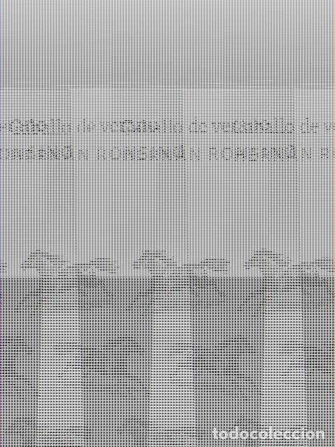 Libros: RONSINO, Hern&aacute;n. - Caballo de verano.