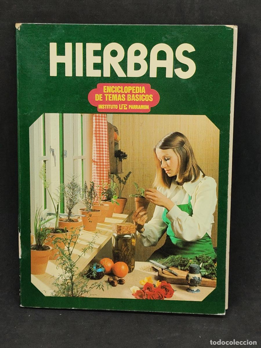 Libros: Jack Harvey - Hierbas enciclopedia de temas b&aacute;sicos - parramon - tdk151 - - Foto 1