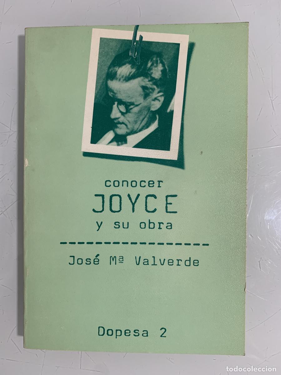 Libros: CONOCER JOYCE Y SU OBRA - Jos&eacute; Mar&iacute;a Valverde - Foto 1