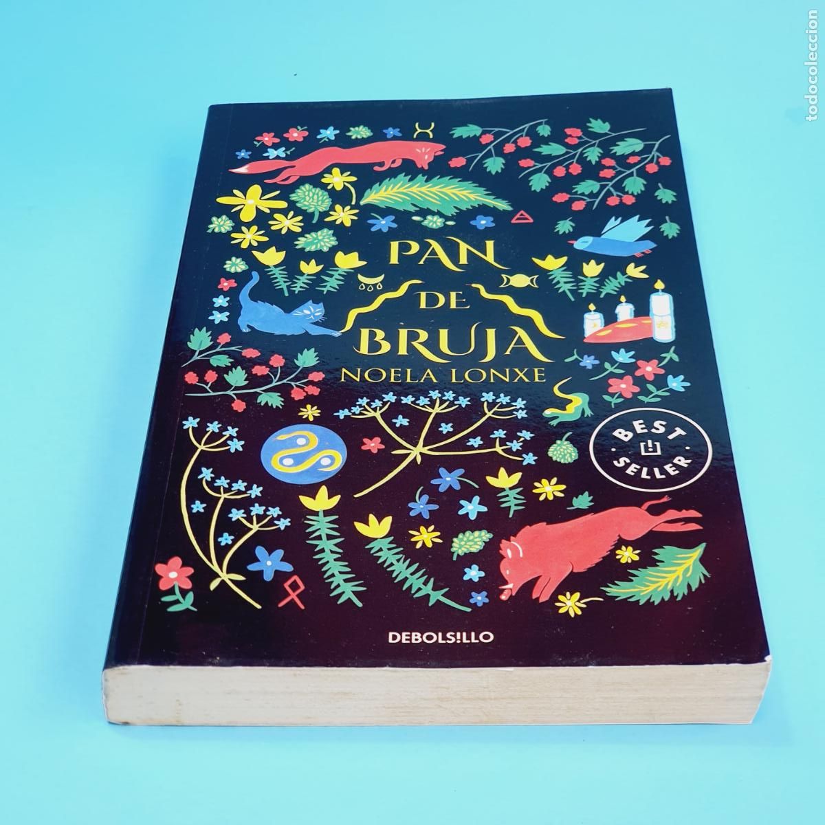 Libros: LIBRO-PAN DE BRUJAS-NOELA LONXE-BEST SELLER-2021-EXCELENTE-COLECCIONISTAS.
