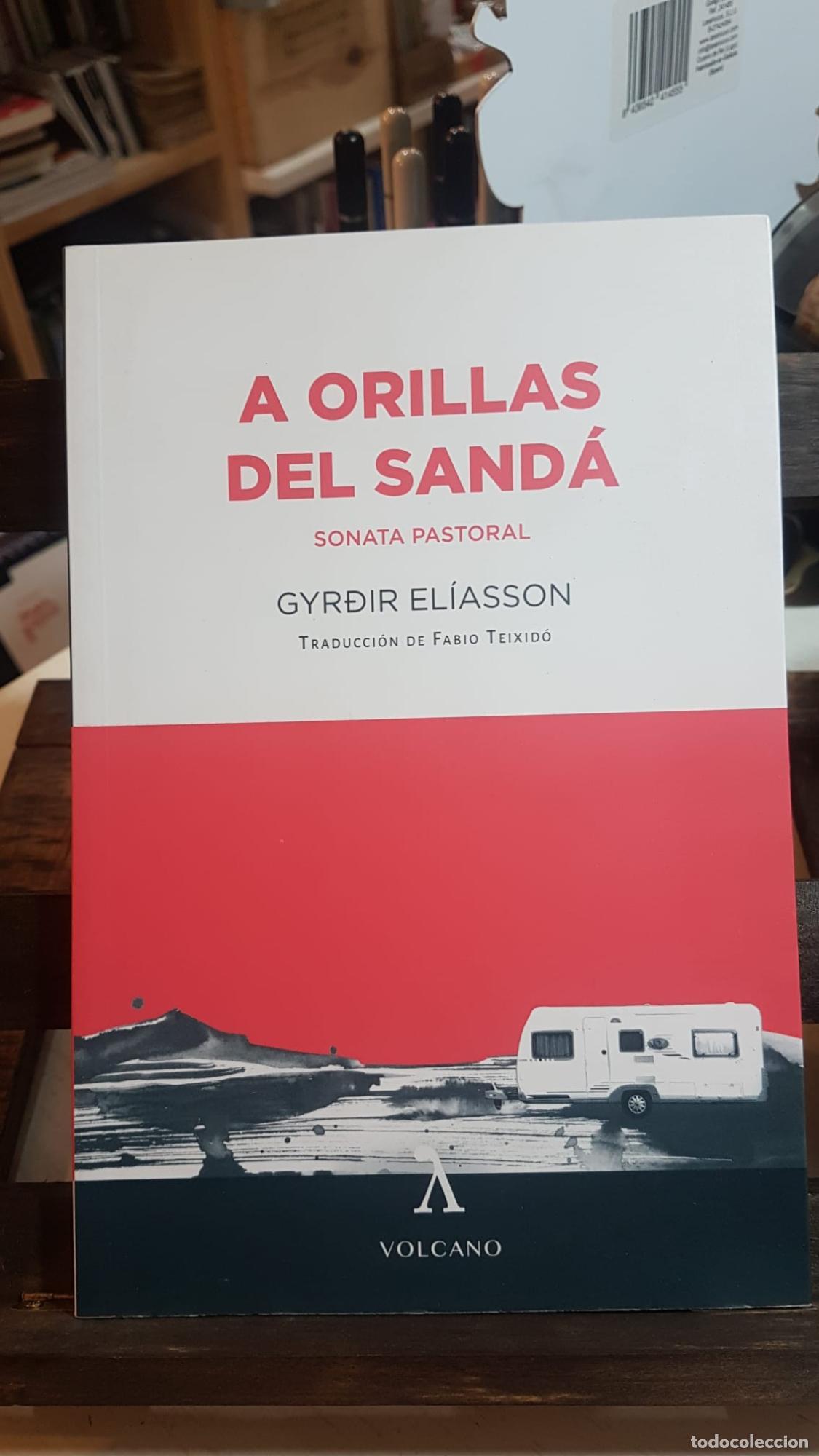 Libros: A ORILLAS DEL SAND&Aacute; - El&iacute;asson, Gyrđir
