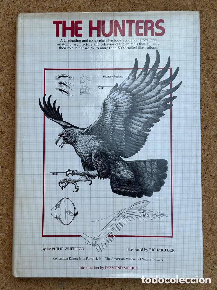 Libros: LIBRO THE HUNTERS LIBRO LOS CAZADORES 1978 - Foto 2