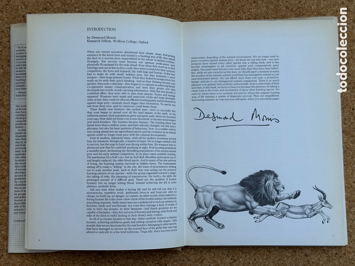 Libros: LIBRO THE HUNTERS LIBRO LOS CAZADORES 1978 - Foto 3