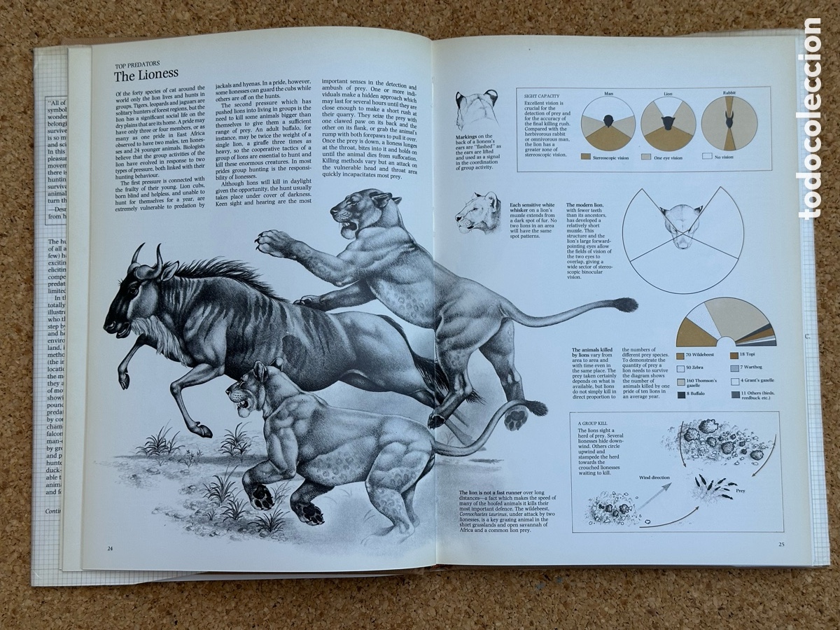 Libros: LIBRO THE HUNTERS LIBRO LOS CAZADORES 1978 - Foto 5