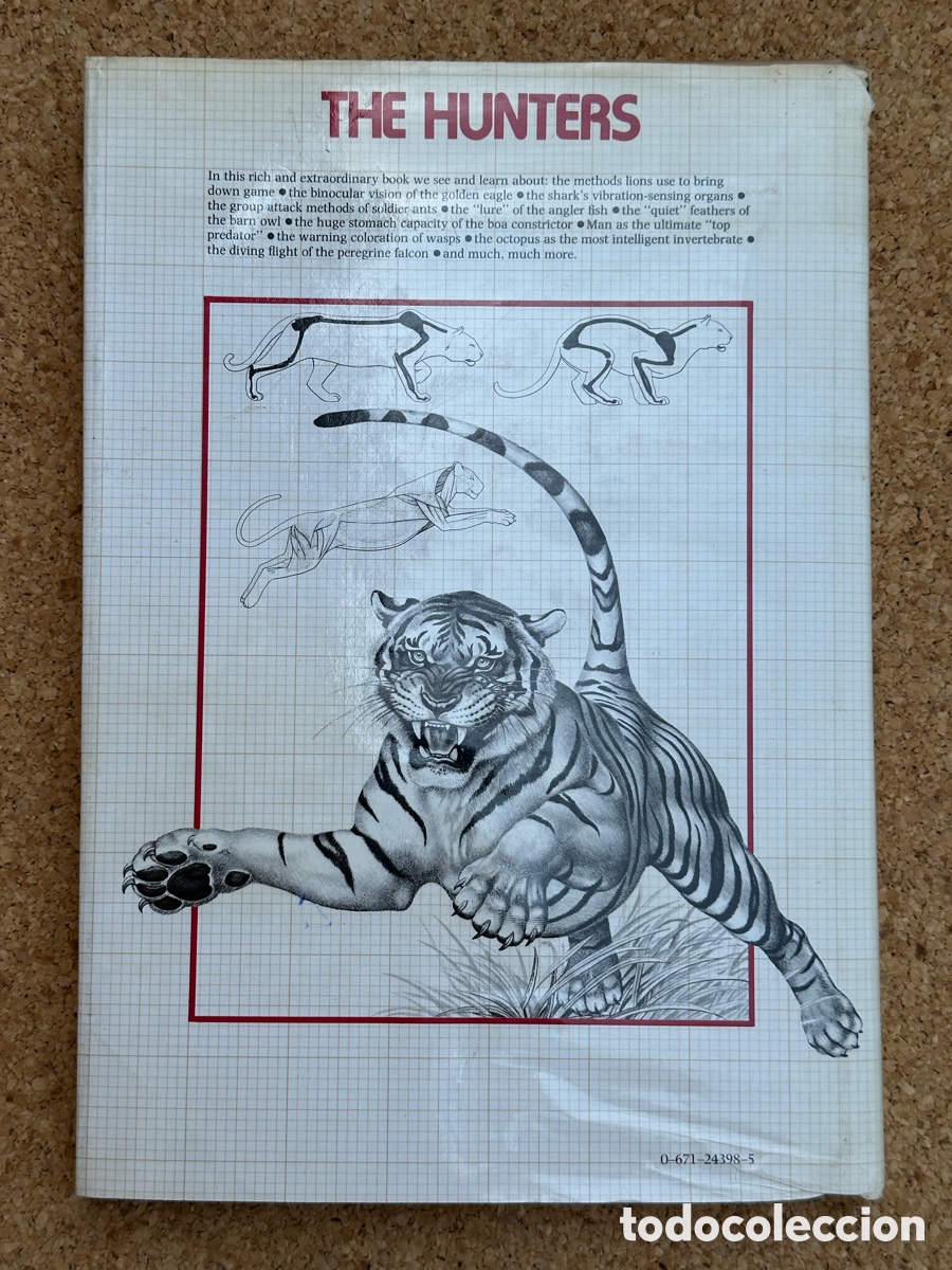Libros: LIBRO THE HUNTERS LIBRO LOS CAZADORES 1978 - Foto 10