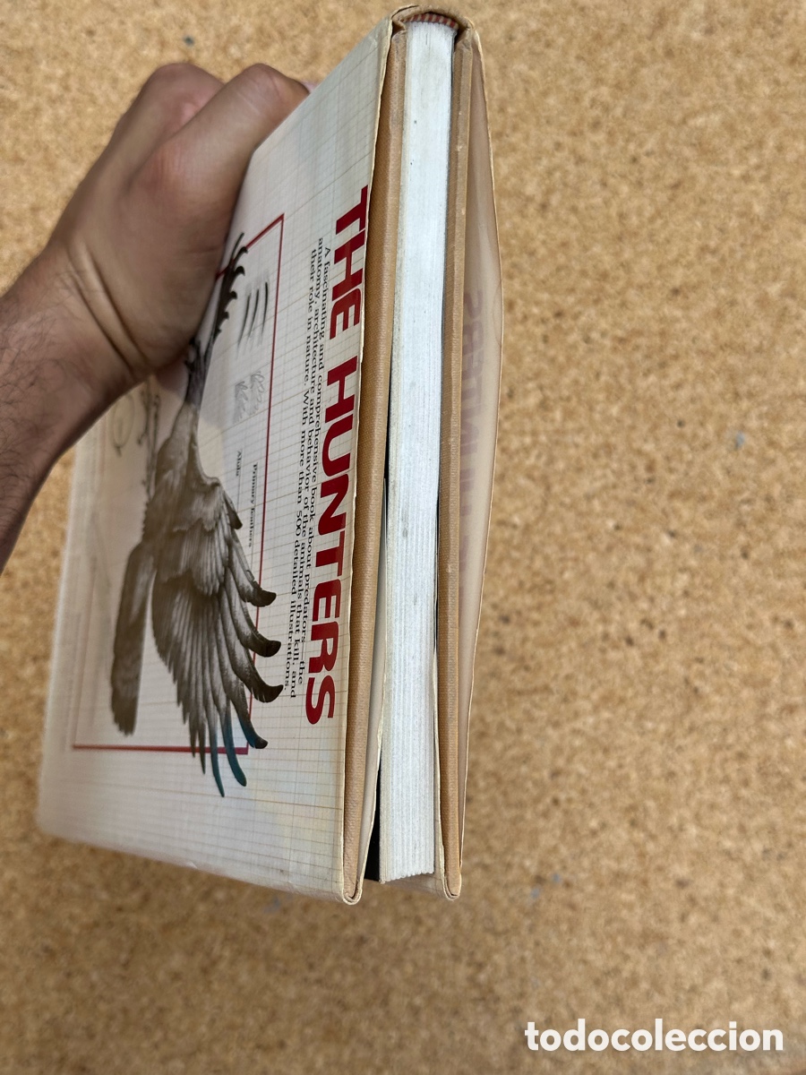 Libros: LIBRO THE HUNTERS LIBRO LOS CAZADORES 1978 - Foto 12
