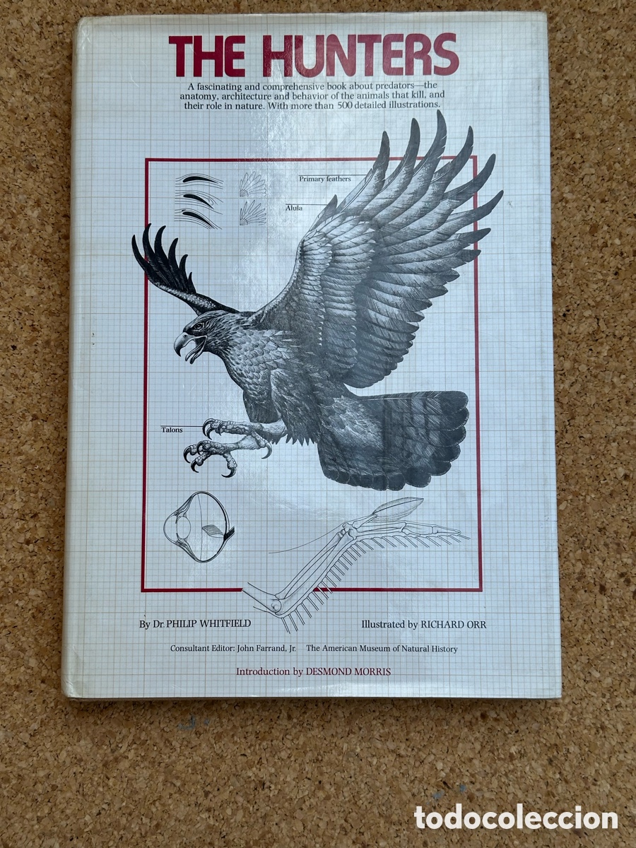 Libros: LIBRO THE HUNTERS LIBRO LOS CAZADORES 1978 - Foto 1