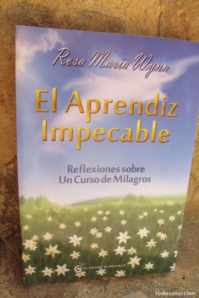 Libros: EL APRENDIZ IMPECABLE. ROSA MARIA WYNN - Foto 1