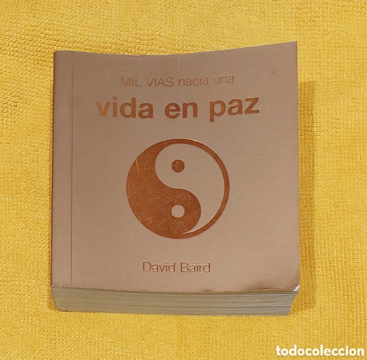 Libros: MIL V&Iacute;AS HACIA UNA VIDA EN PAZ