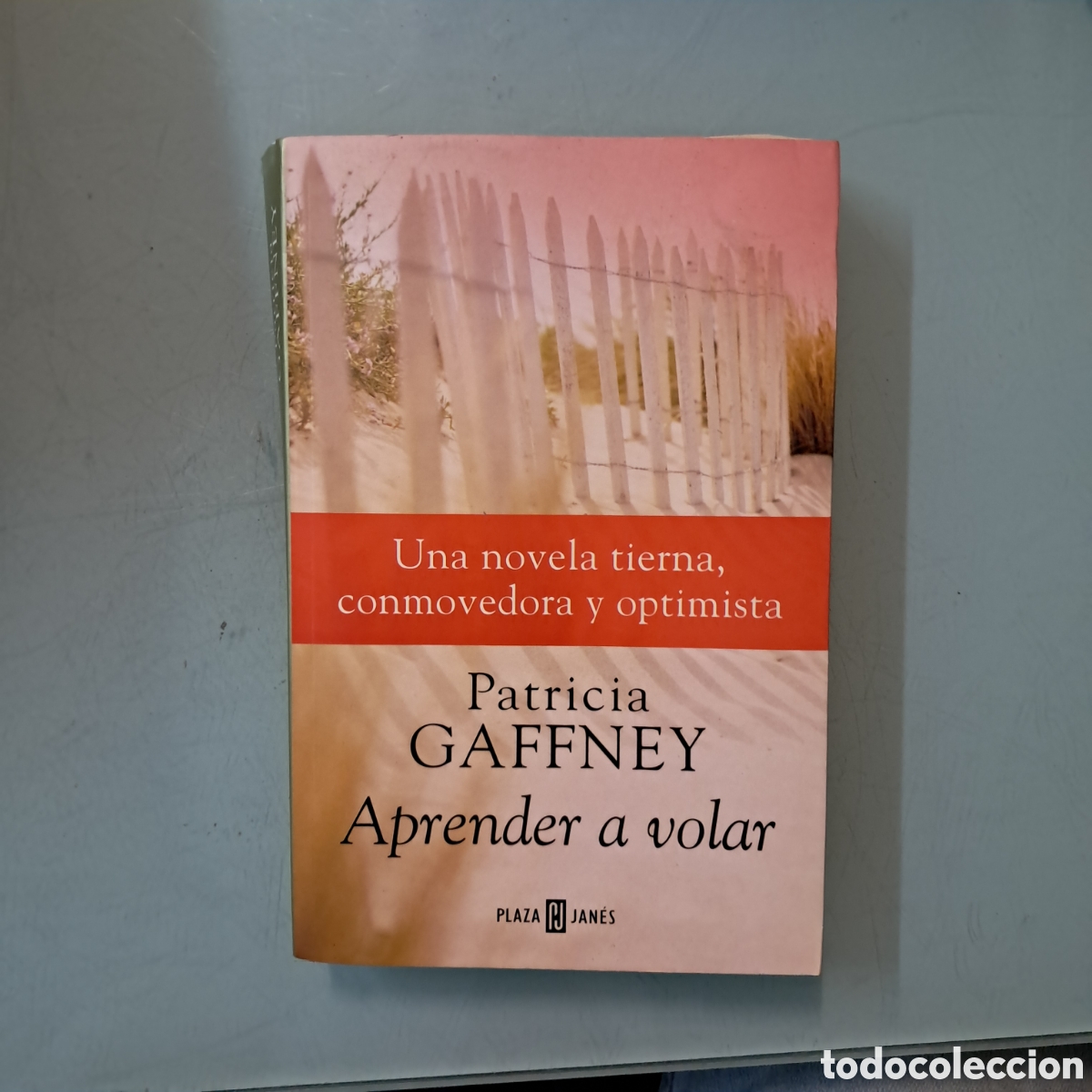 Libros: Patricia Gaffney, Aprender a volar, Plaza Janes - Foto 1